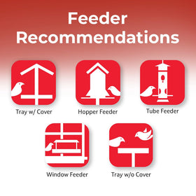 Lyric Supreme birds at feeder illustrate broad species attraction