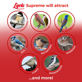 Lyric Supreme feeder view demonstrates compatibility with tube and window feeders