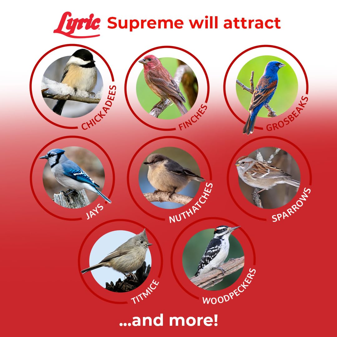 Lyric Supreme Nyjer seeds attract finches and small birds to windows.