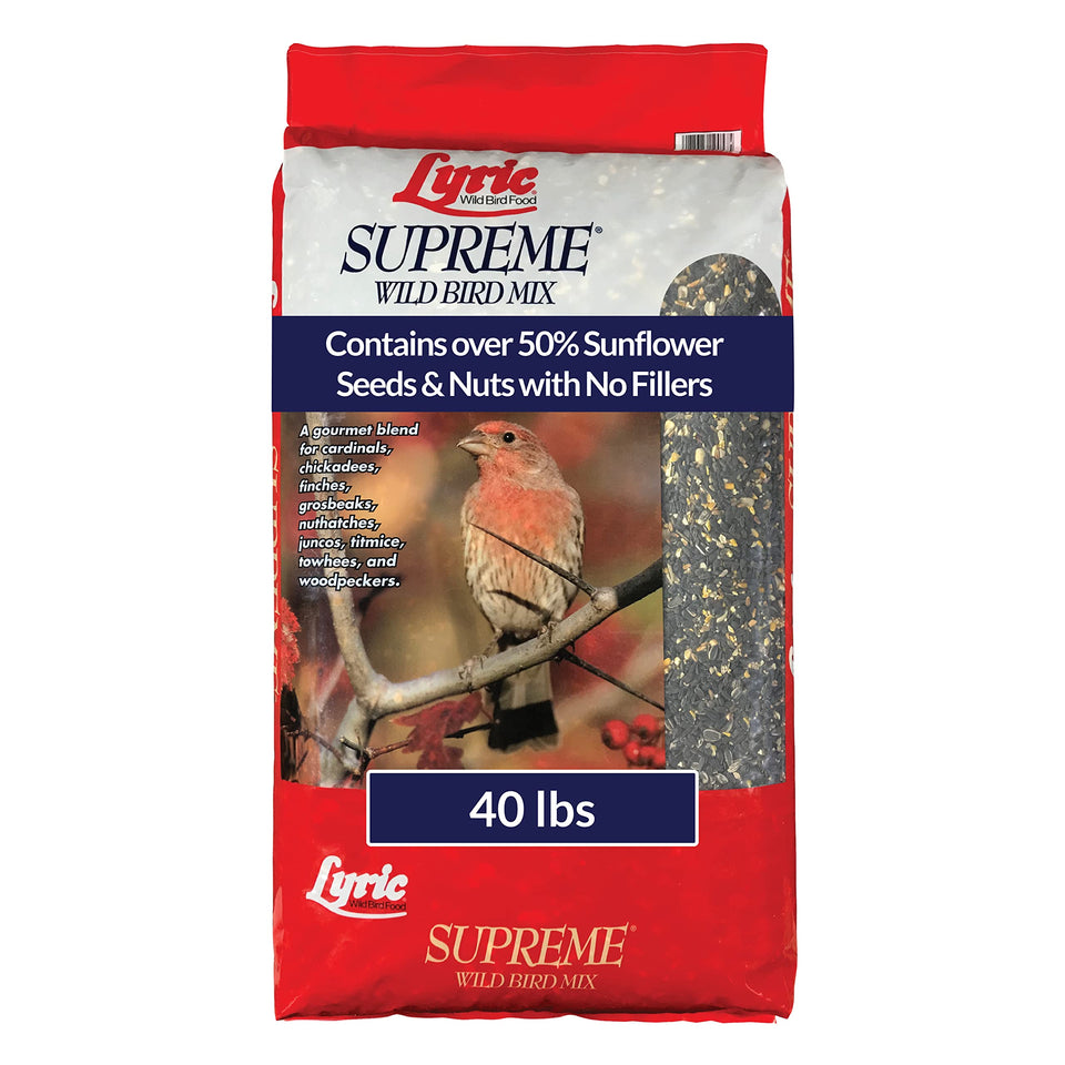 Lyric Supreme wild bird seed outdoor feeder blend attracts diverse songbirds.