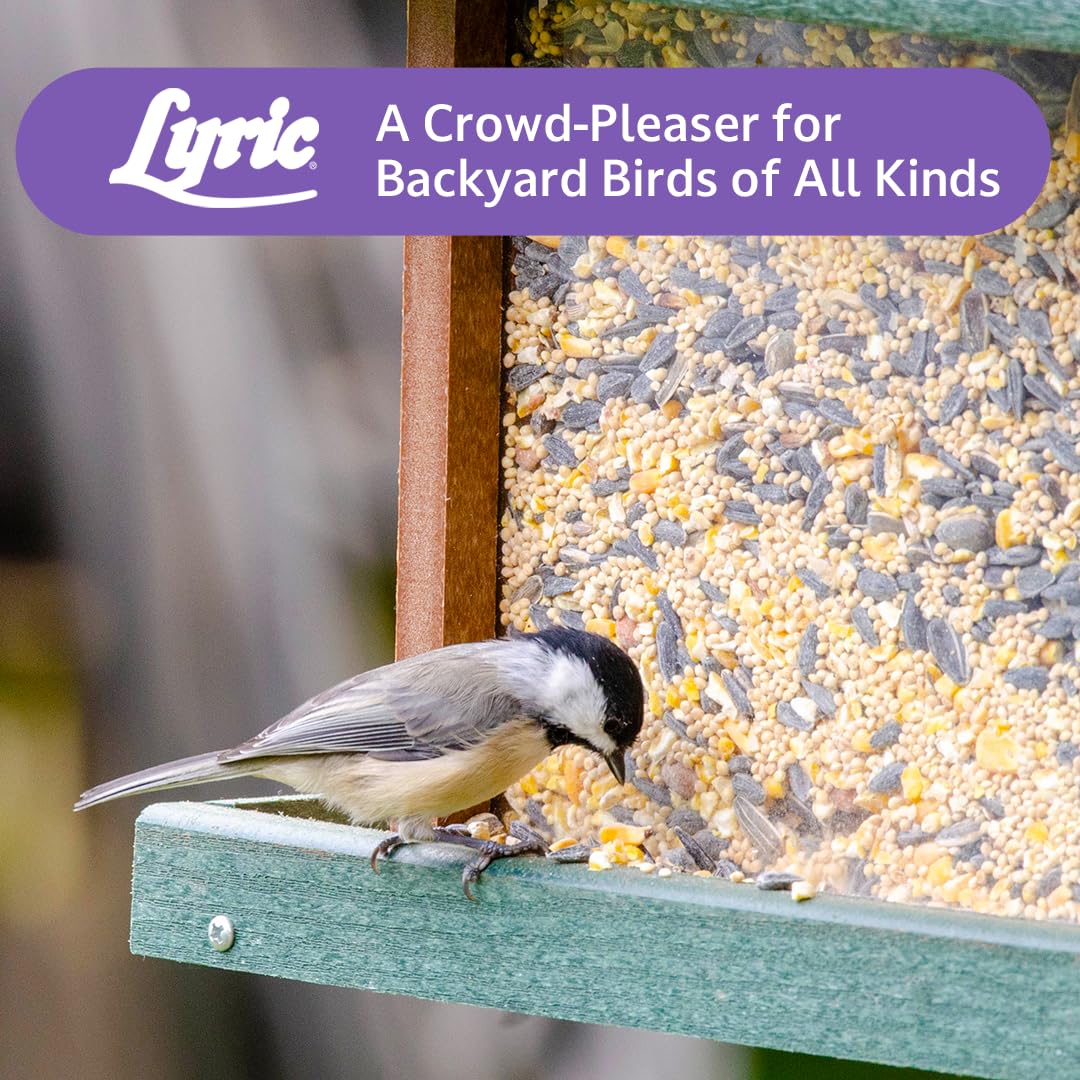 Lyric Wild Bird Mix 40lb bag ready for outdoor use.