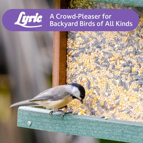 Lyric Wild Bird Mix backyard birdwatching scene with active birds