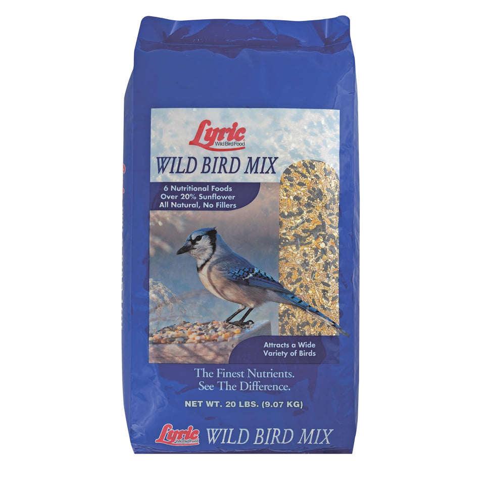Lyric Wild Bird Mix with cracked corn at outdoor feeder for energy