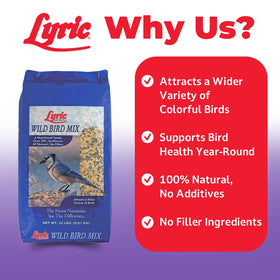Lyric Wild Bird Mix with peanuts and seeds at a feeder.