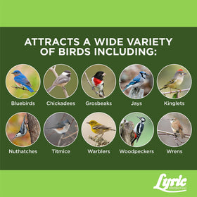 Lyric wild bird seed mix with suet cake attracts a variety of birds all year.