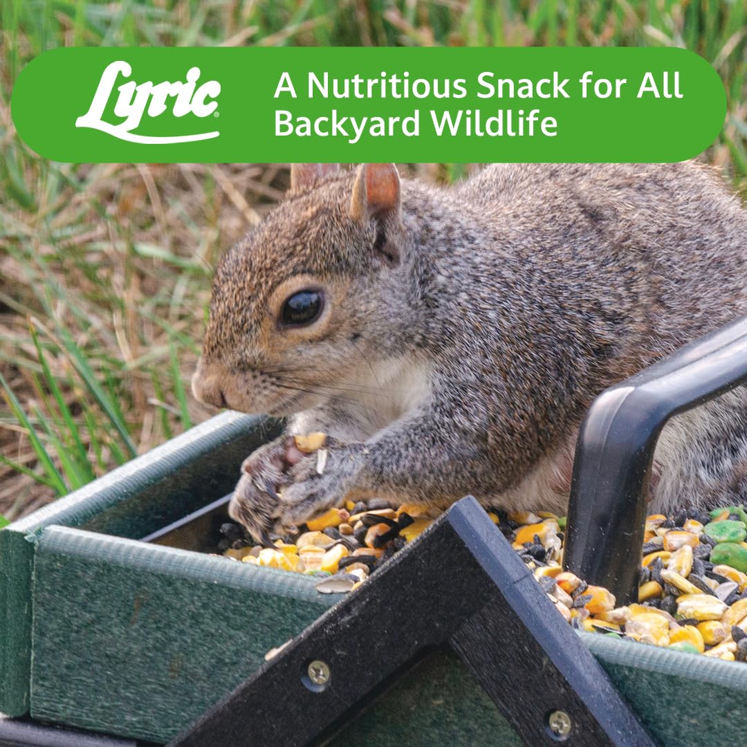 Lyric Wildlife Food 10 lb bag packaging keeps feed fresh outdoors