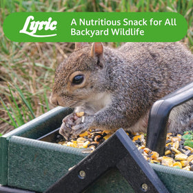 Lyric Wildlife Food 10 lb bag packaging keeps feed fresh outdoors