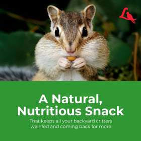 Lyric Wildlife Food red milo and grains supporting backyard wildlife