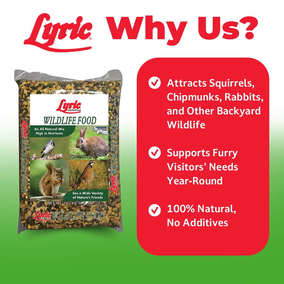 Lyric Wildlife Food squirrels at feeder highlighting quick snacking
