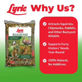 Lyric Wildlife Food squirrels at feeder highlighting quick snacking