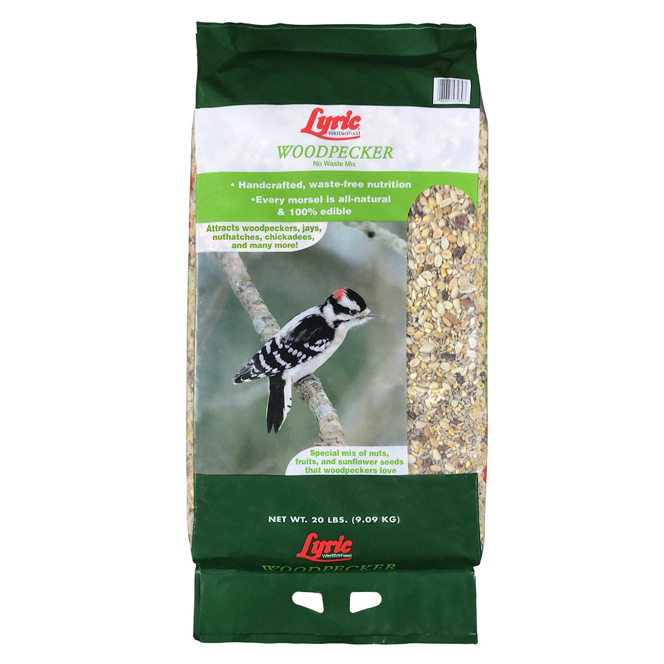 Lyric Woodpecker Mix at an outdoor feeder attracts diverse woodpeckers and songbirds