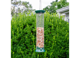 Lyric Woodpecker 5 lb bag ready for year round backyard feeding