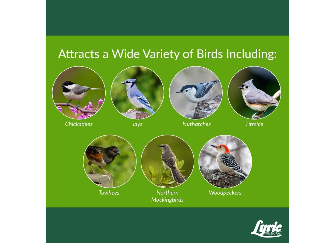 Lyric Woodpecker seed no waste formula highlighting high protein and fat