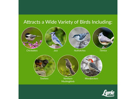 Lyric Woodpecker seed no waste formula highlighting high protein and fat