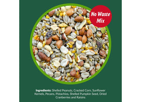Birds feeding on Lyric Woodpecker seed in an outdoor feeder setup