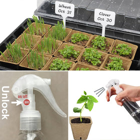 Macoya seed starter kit adjustable humidity dome maintains seedling environment.