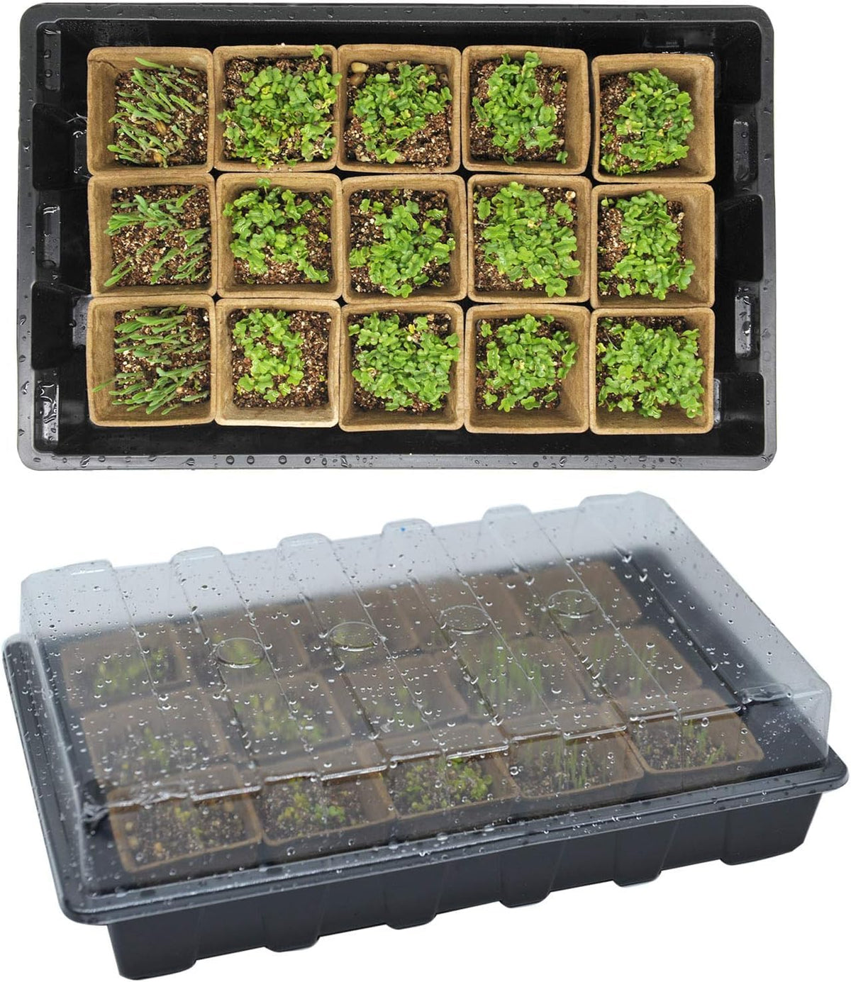 Macoya seed starter kit plant labels and dibbers for organized planting.