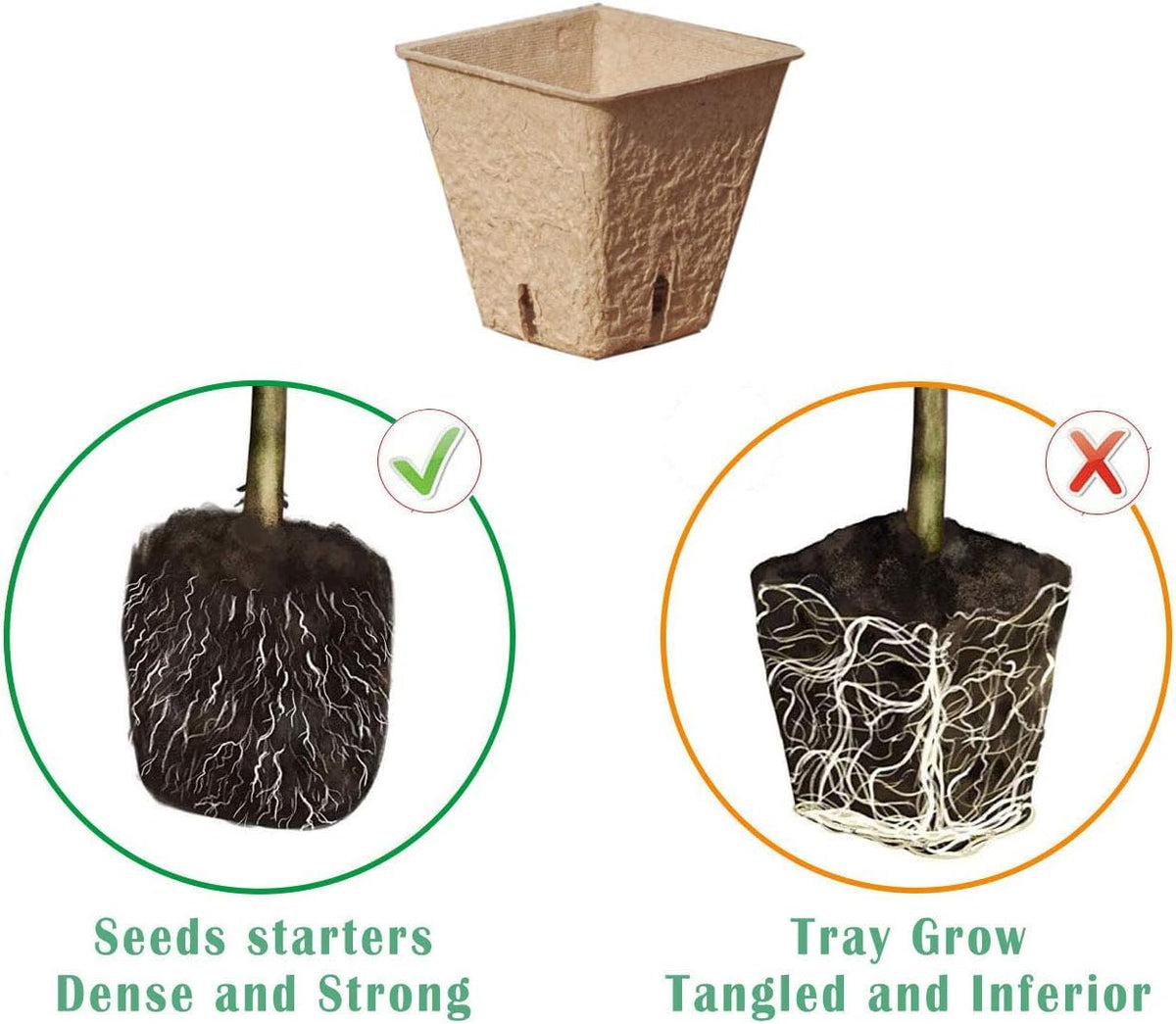 Macoya seed starter kit plastic trays offering moisture-controlled germination surface.