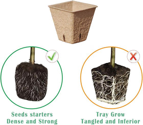 Macoya seed starter kit plastic trays offering moisture-controlled germination surface.