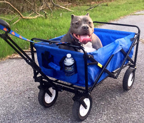 MacSports wagon in garden setting used for yard projects