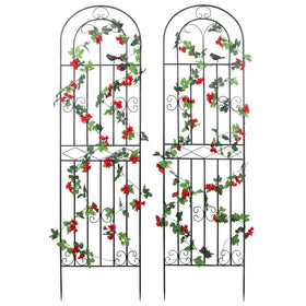 Macteyia trellis with bird pattern supports climbing roses and vines.