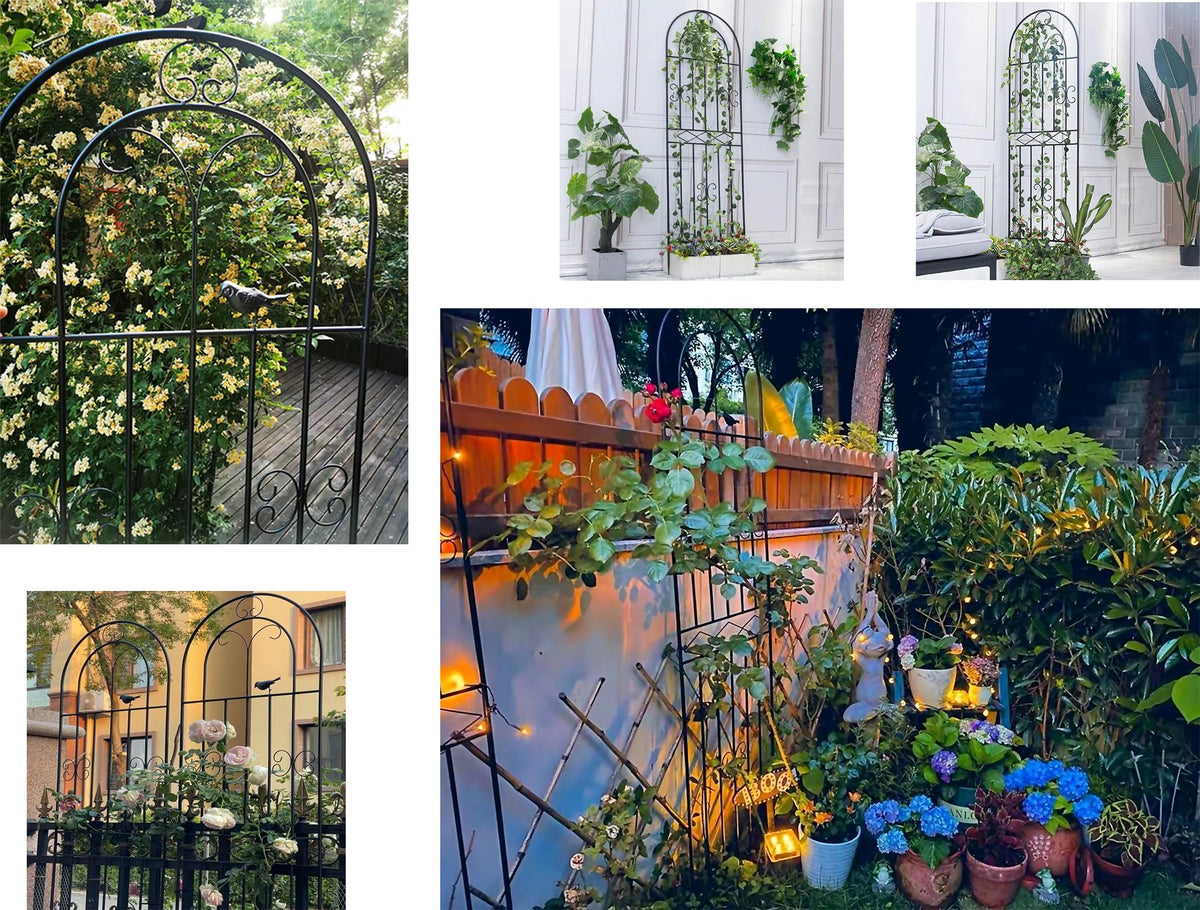Macteyia trellis ideal for cucumbers and other vine vegetables on a frame.