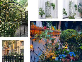 Macteyia trellis ideal for cucumbers and other vine vegetables on a frame.