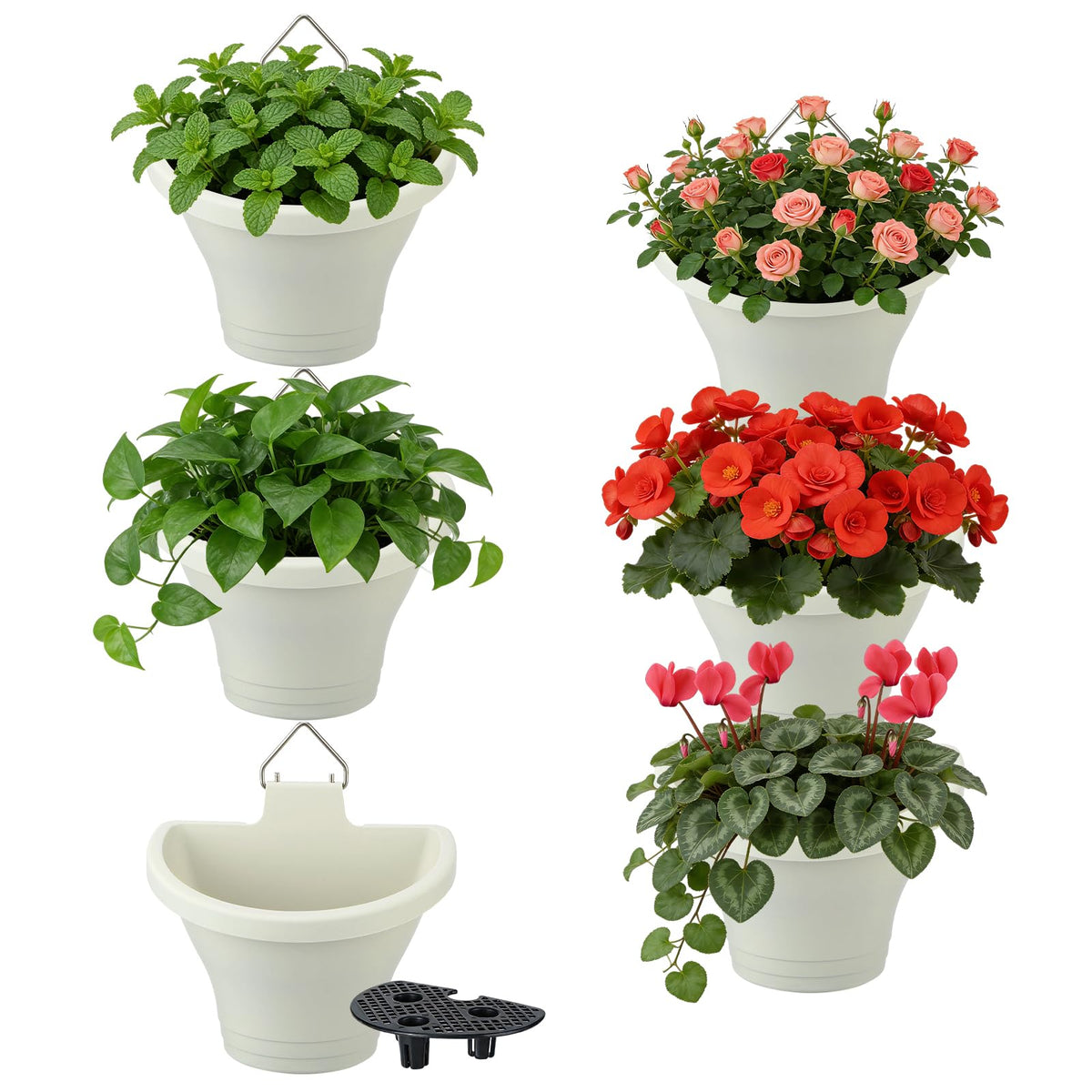 MADHOLLY 6Pcs vertical planters on wall display save space for flowers and herbs