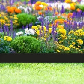 Maebeacae edging spikes secure the border into the ground