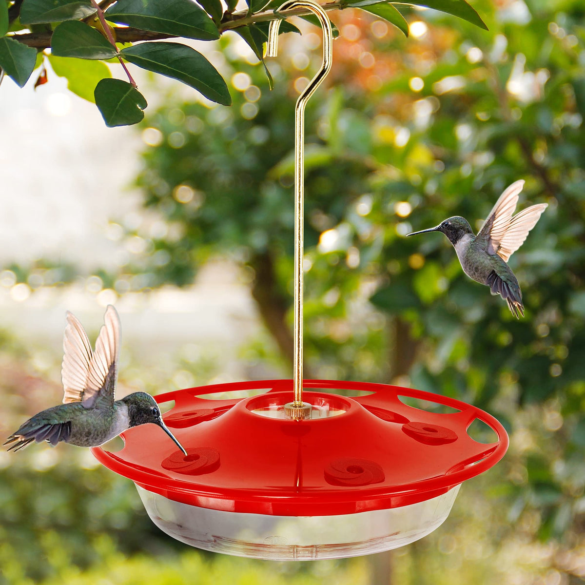 MAGGIFT Juegoal 12 oz feeder easy to hang outdoors in garden or balcony.