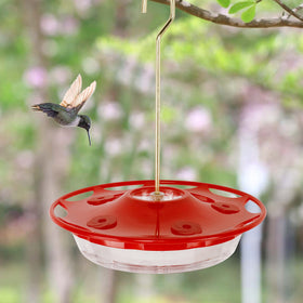 MAGGIFT Juegoal 12 oz feeder includes free 12 tips and cleaning brush.