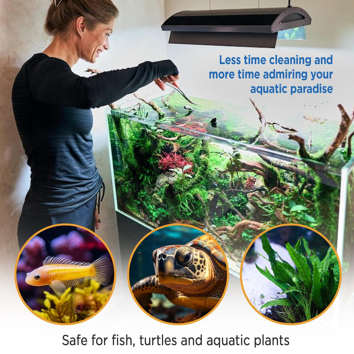 Magic Tank Rock long-lasting performance supports a stable water scene for months