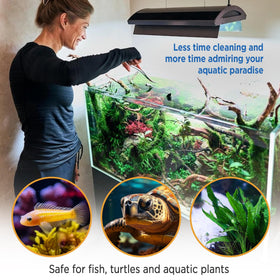 Magic Tank Rock long-lasting performance supports a stable water scene for months