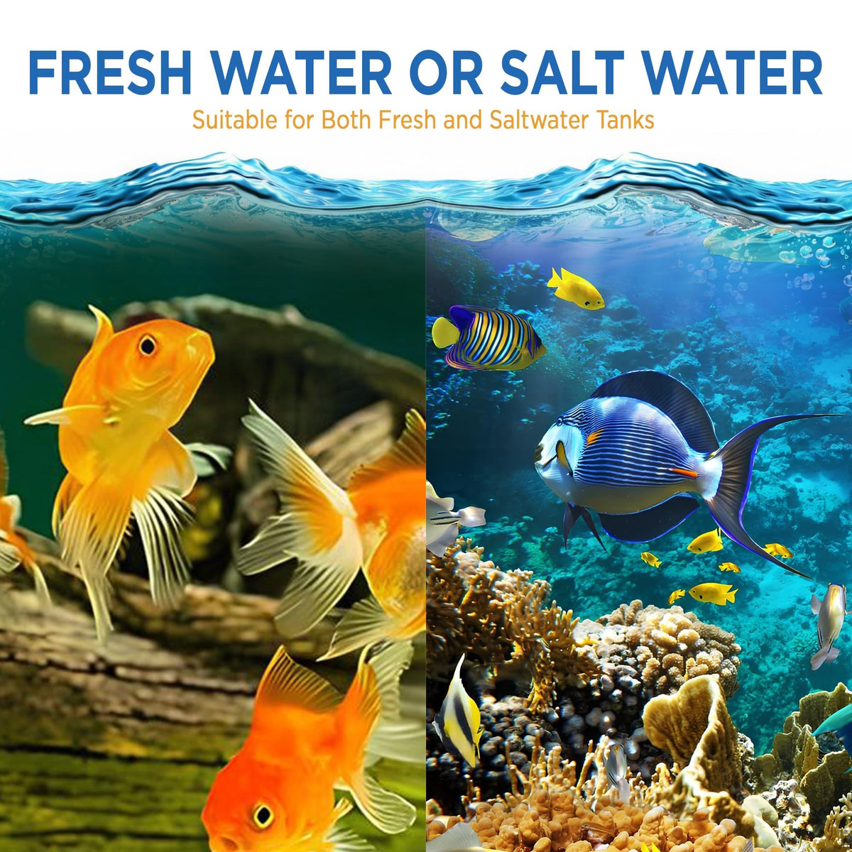 Magic Tank Rock is safe for fish, turtles, and plants in home aquariums