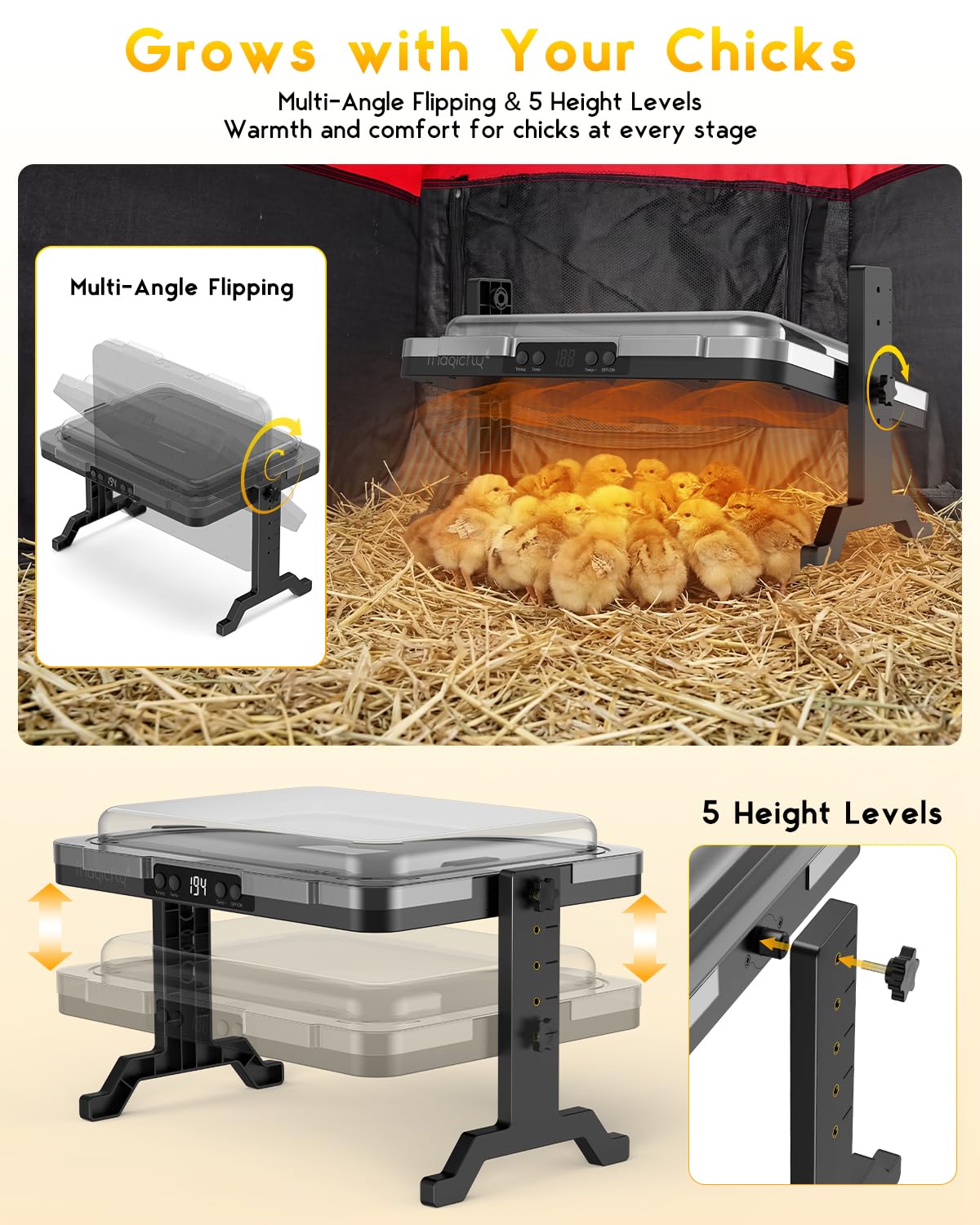 Magicfly brooder plate height adjustment showing flexible setup for growing chicks.