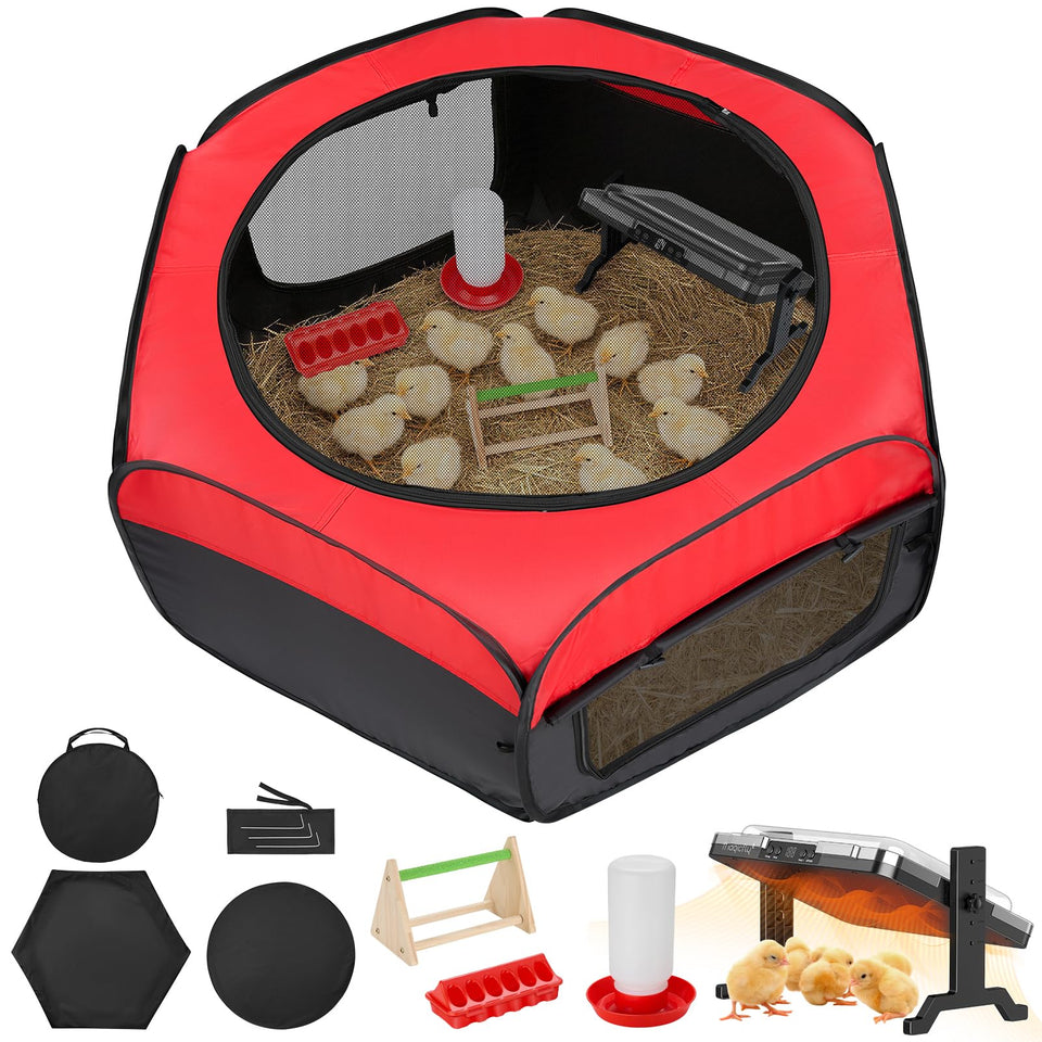Magicfly chicken brooder box setup shows an all-in-one starter for warm, contained chick housing.