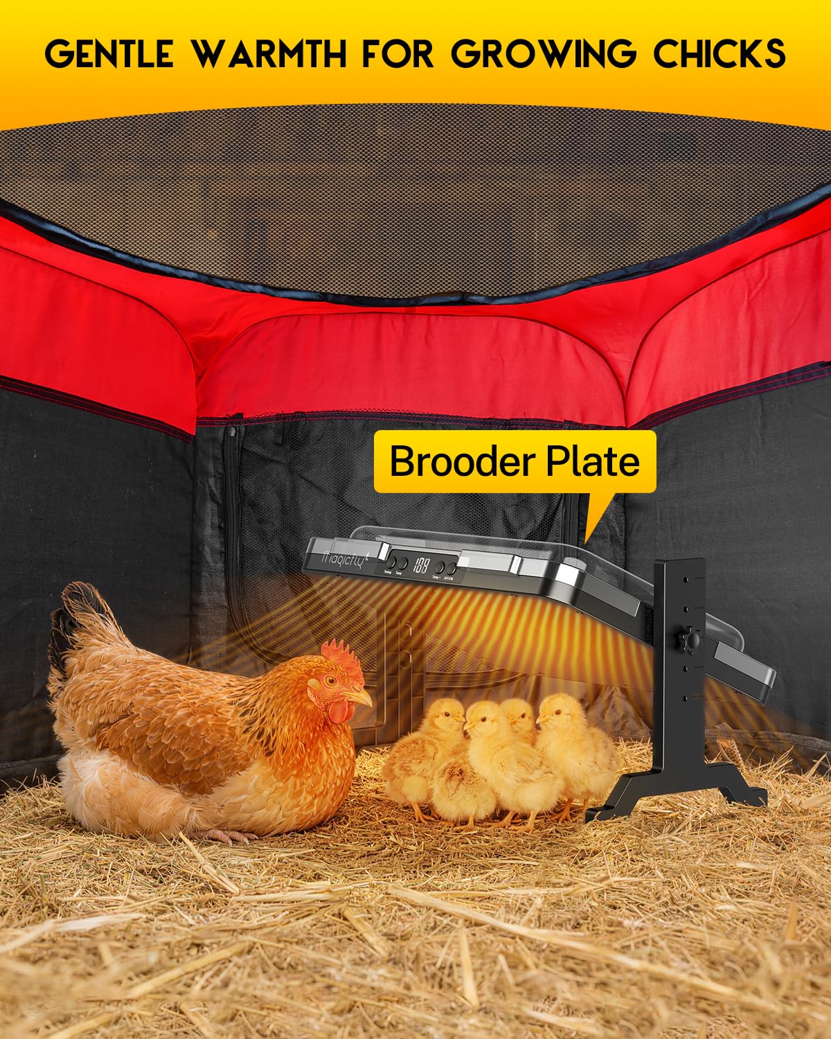 Magicfly chicken brooder tent demonstrates secure outdoor use with double-door access.