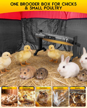 Magicfly durable Oxford fabric keeps the brooder clean and long-lasting.