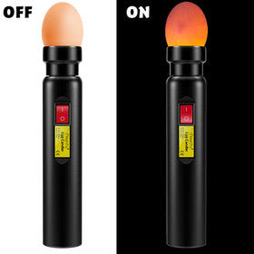 Compact, portable candling lamp for use anywhere.
