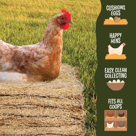 MagJo coop-cleaning setup enables quick, low-effort maintenance.