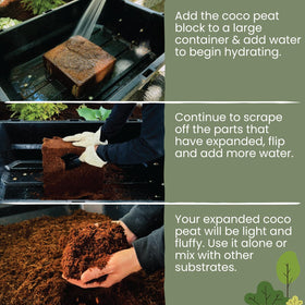 MagJo Naturals coco coir block washed to remove salt supports healthy root development