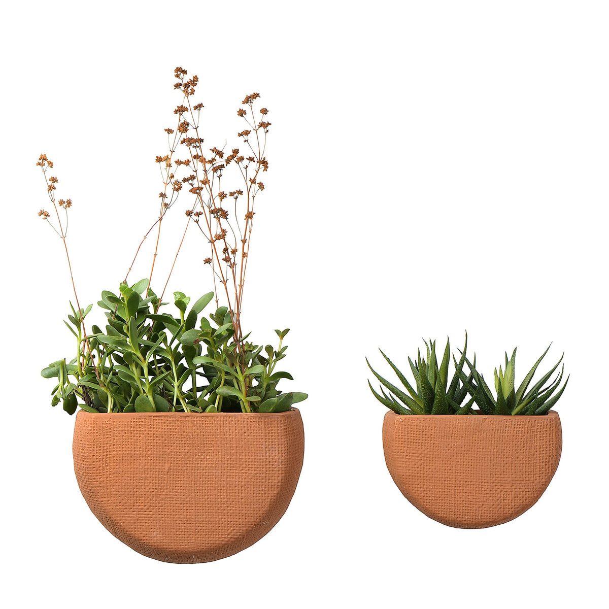 Main + Mesa wall planter suitable for indoor or covered outdoor spaces.