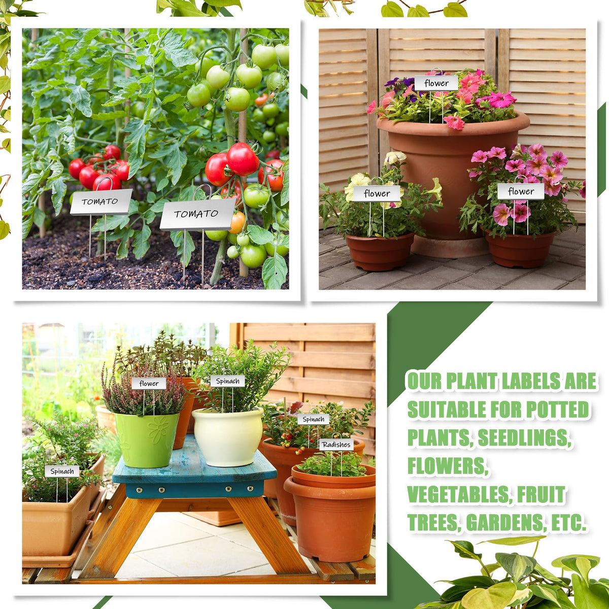 Maitys outdoor garden setup showing reusable metal plant labels in soil.