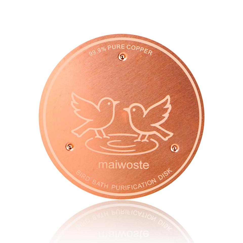 maiwoste bird bath copper disk 4-inch, stable and low-maintenance