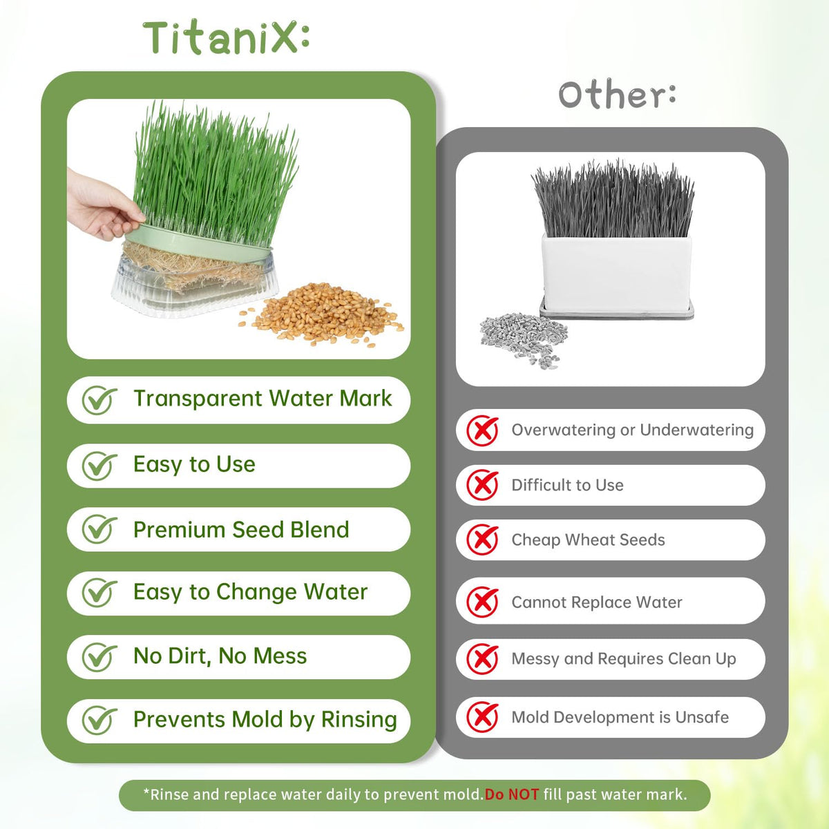 Majero cat grass ready for cat and easy to nibble