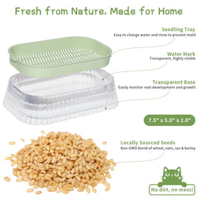 Majero cat grass water-level indicator prevents overwatering and root issues