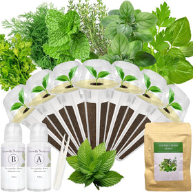 Majero gourmet herb seed pod kit box shows seven heirloom seeds for home hydroponic herbs harvest.