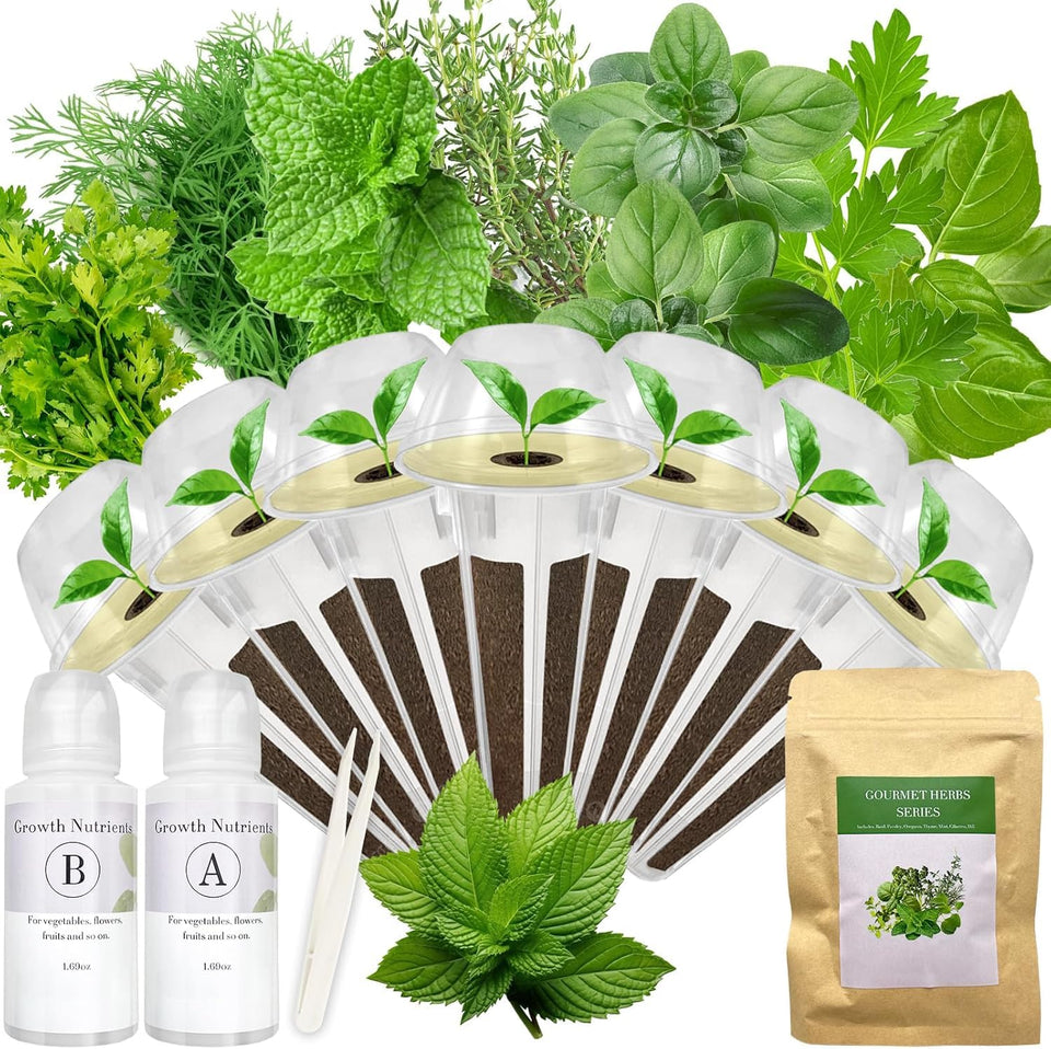 Majero gourmet herb seed pod kit box shows seven heirloom seeds for home hydroponic herbs harvest.