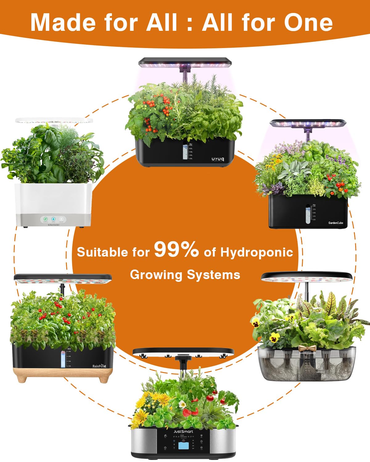 Majero harvest-ready berries grace your table after a satisfying hydroponics harvest