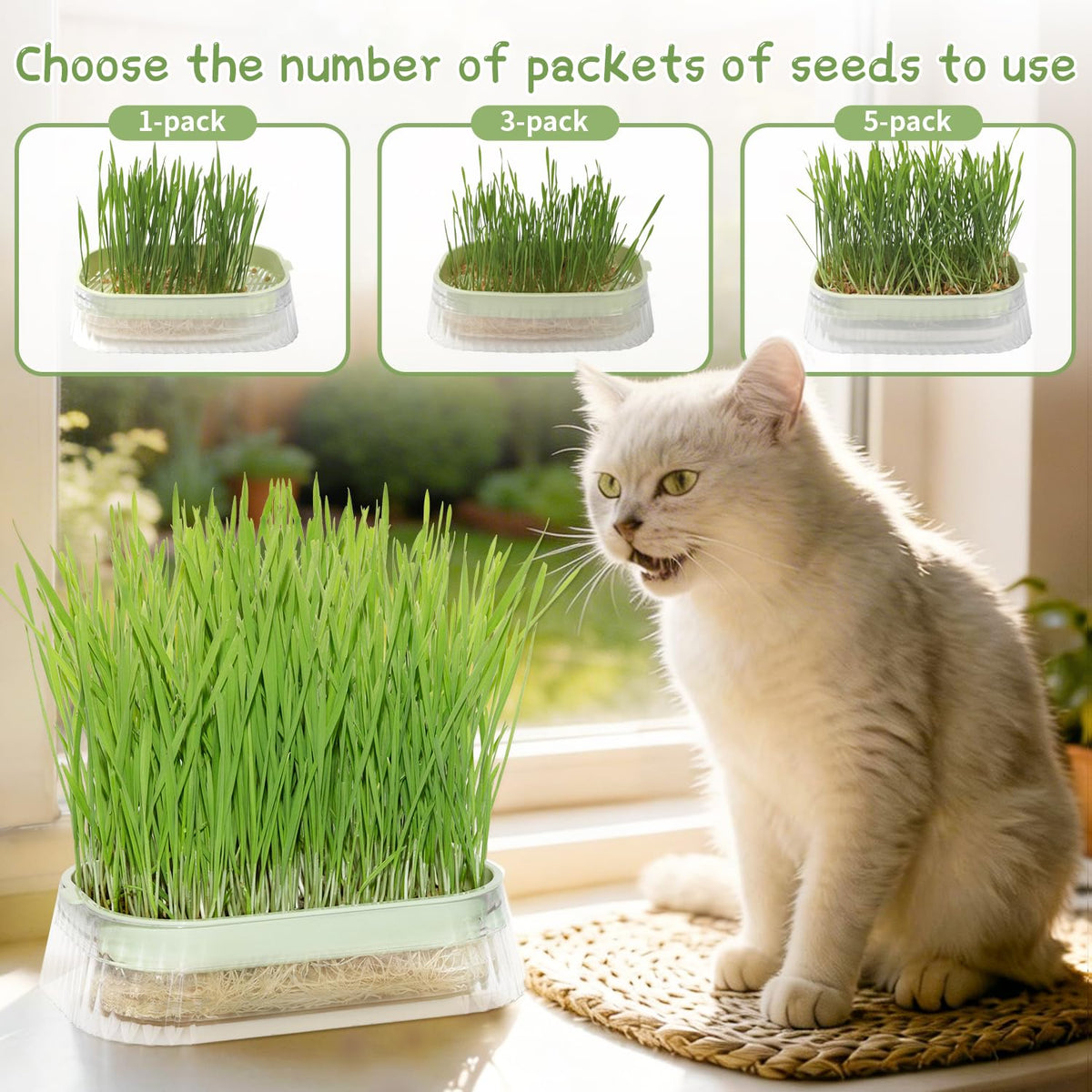 Majero organic non-GMO seeds pack delivers fresh sprouts for cats
